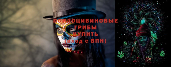 a pvp Елабуга