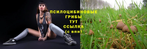 кокаин Ельня