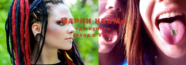альфа пвп Елизово