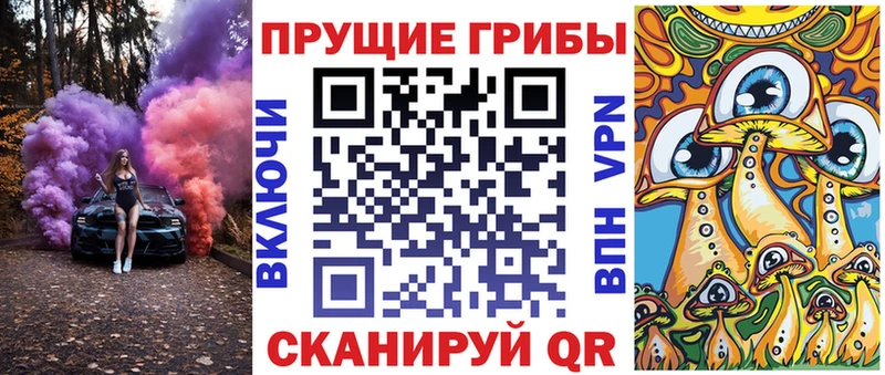 Купить где  Злынка  Галлюциногенные грибы прущие грибы 