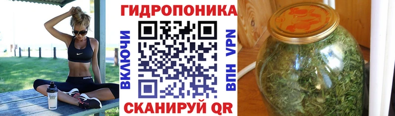 Купить закладки  Злынка  Канабис индика 